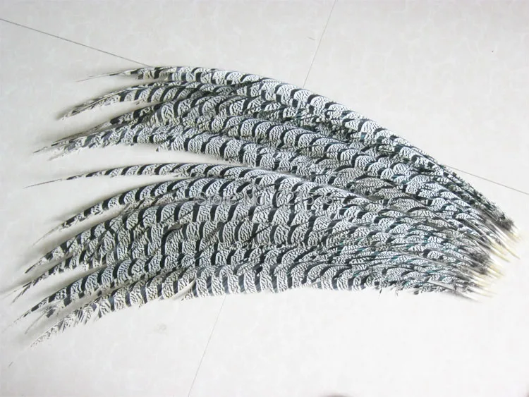 

50Pcs 30-35inch 80-90cm Long Center Lady pheasant tail feathers for show girl costumes,nature colour,