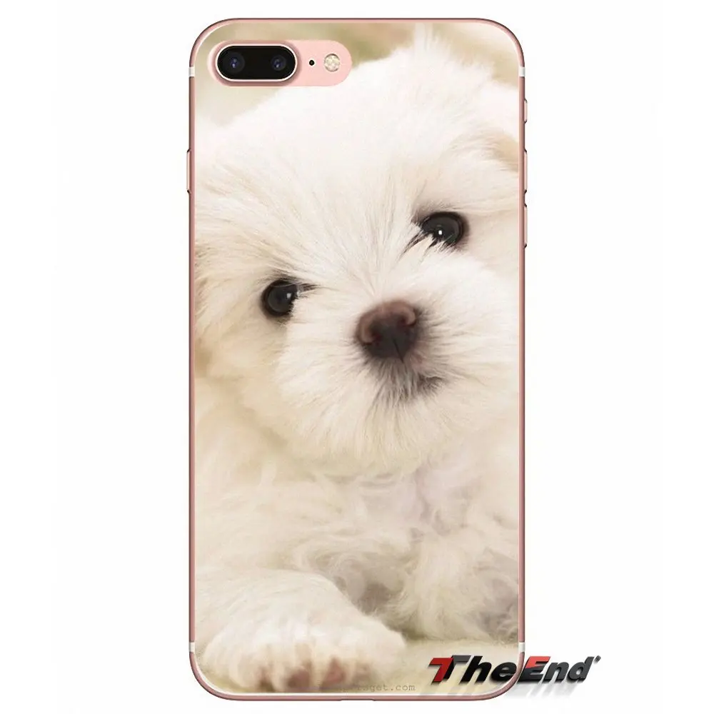 Для Samsung Galaxy J1 J2 J3 J5 J7 A3 A5 A7 2015 2016 2017 J530 J730 Fundas Coque I Love My Maltese dog puppies силиконовый чехол |