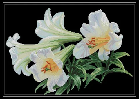 Рукоделие вышивка крестиком своими руками наборы для вышивки 11CT &amp 14CT