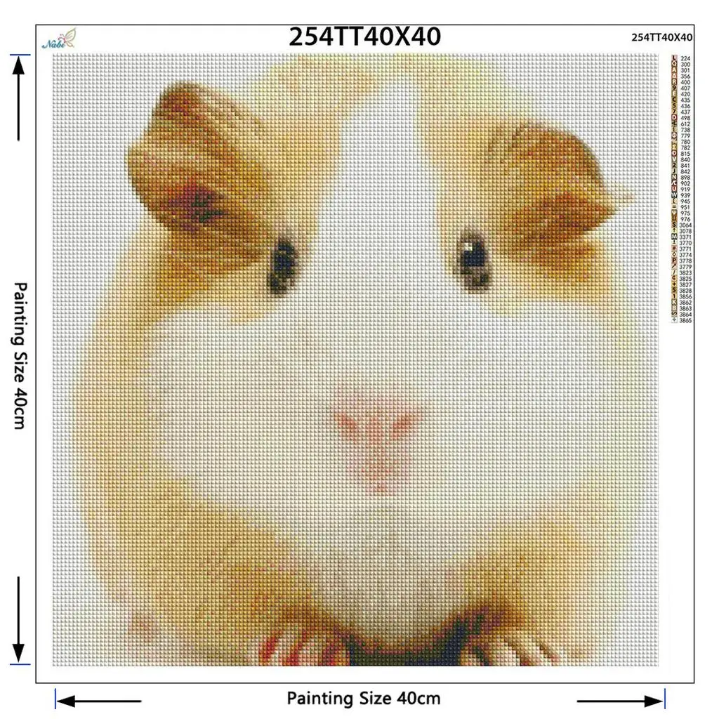Diy Алмазная вышивка крестиком Cavia Porcellus полная круглая морская свинка животные