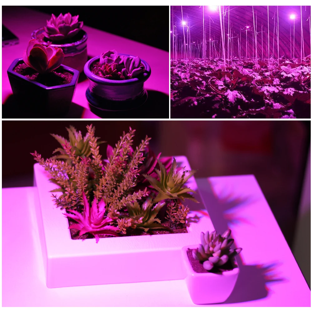 Полный спектр Led Grow Light 10 Вт 30 50 80 Красный Синий УФ ИК растущая лампа для