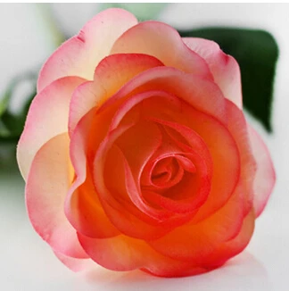 Floace 11 шт./лот розы Искусственные цветы Шелковые цветы Цветочные латексная реальная на ощупь роза Свадебный букет украшение для дома вечерние цветы - Цвет: pink Champagne