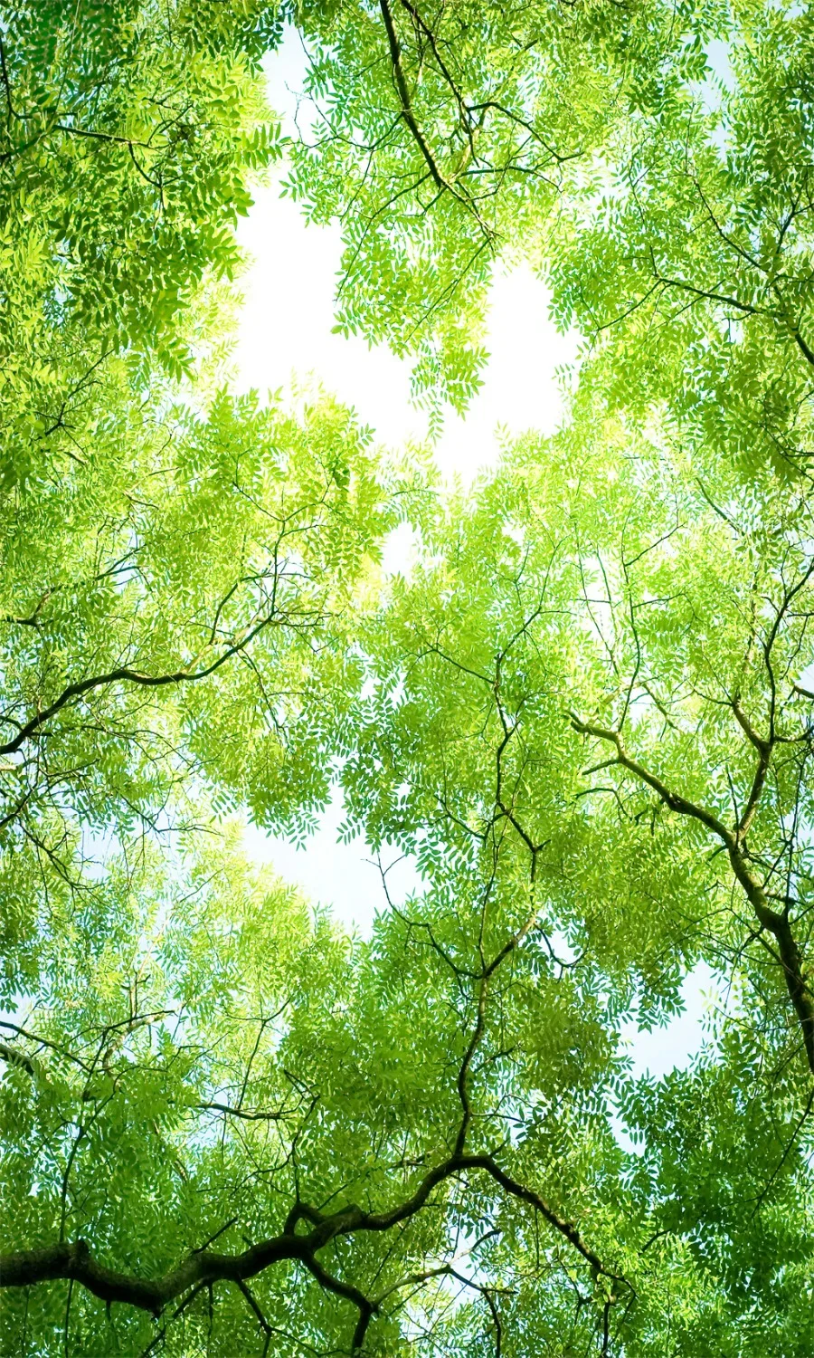 2 шт. затемненные шторы ветки деревьев ландшафтные для гостиной современный