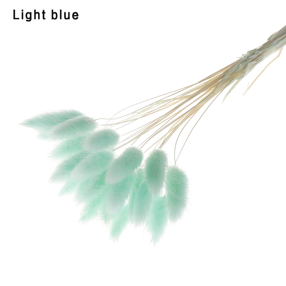 light blue Новинка, 20 шт., кролик, хвост, трава, Натуральные сушеные цветы, искусственные украшения, Цветочная композиция, лагурус оватус, настоящая трава, букет, реквизит - Цвет: light blue