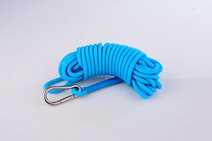 blue rope buckle 250 кг сильный Неодимовый N52 магнит рыболовный магнит магнитный материал морские спасательные магниты поисковые магниты с веревочной опцией - Цвет: blue rope buckle