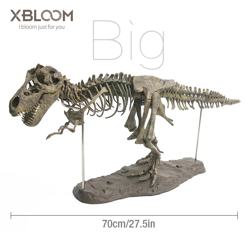 Большой динозавр 4D Собранный bone blast dragon детская игрушка тираннозавр окаменелый