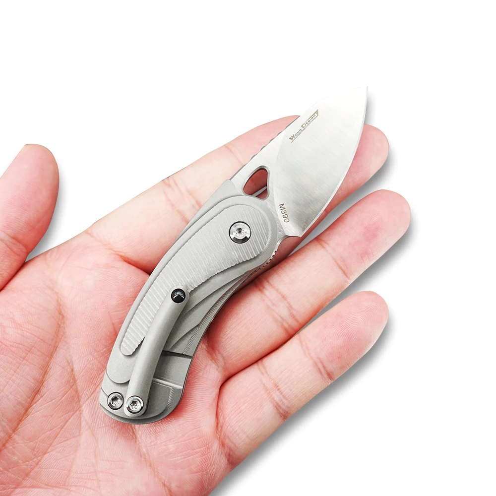 TwoSun мини M390 складной нож карманный нож Походный нож открытый инструмент для выживания EDC TC4 титановые быстрооткрывающиеся шариковые подшипники TS68