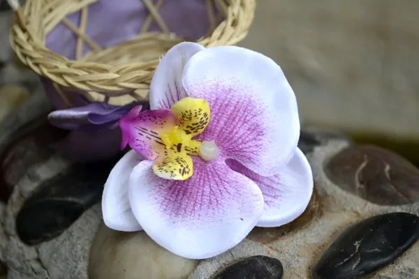 White and purple HUADODO имитация бабочки орхидеи цветы Шелковые искусственные головки цветов для дома Свадебные украшения DIY Искусственные цветы 50 штук - Цвет: White and purple