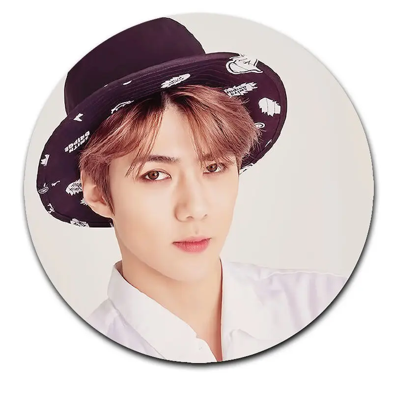 Kpop EXO значок Chanyeol Sehun Брошь булавка Рождественский подарок нагрудная булавка значок сувенир