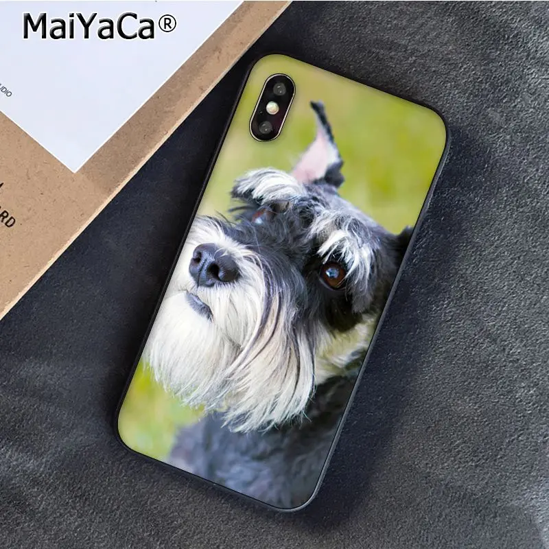 Чехол для телефона с изображением щенка шнауцера iphone 12 11 pro MAX 8 7 6 6S Plus X XS 5