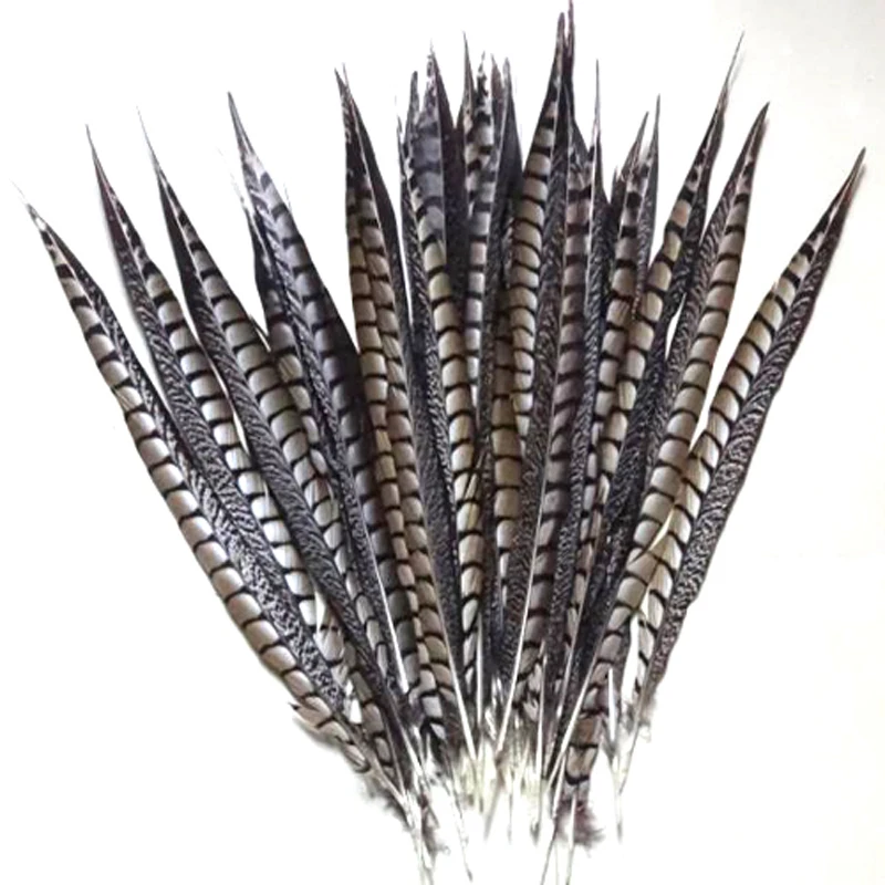 

Free Shipping 40-45cm 16-18 100pcs Lady Amherst pheasant tails pheasant feather
