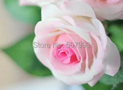 Реалистичные розы на ощупь искусственные цветы из латекса домашнее