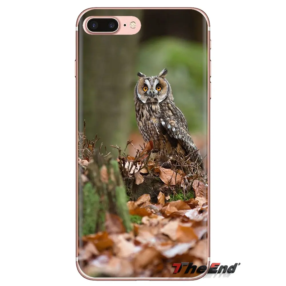 Long Eared Owl Asio otus Transparent Soft Cases Covers For Samsung Galaxy A3 A5 A7 A9 A8 Star A6 Plus 2018 2015 2016 2017 |