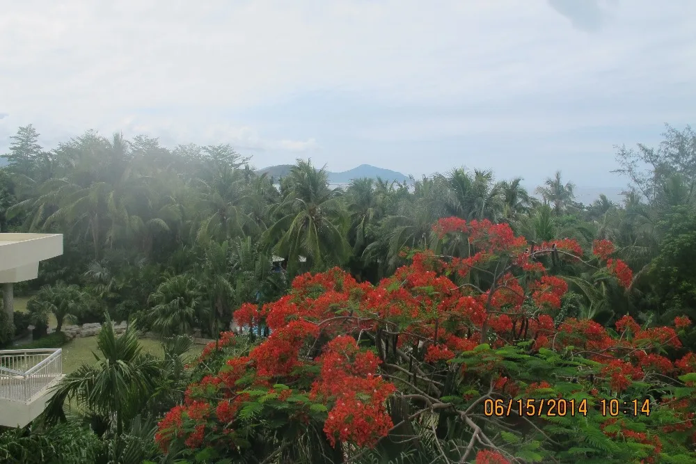 Загрузка Test11 по API |