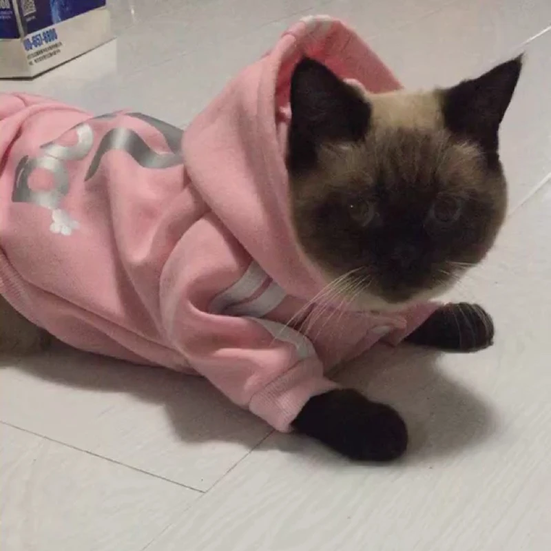 Модная одежда для кошек зимняя теплая уютная Одежда любимцы котята верхняя