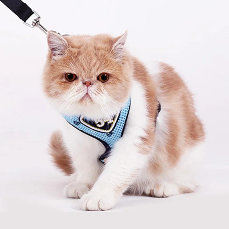 Pet Cat шлейка и поводок набор комфортный мягкий Жилет Жгут сетка одежда для