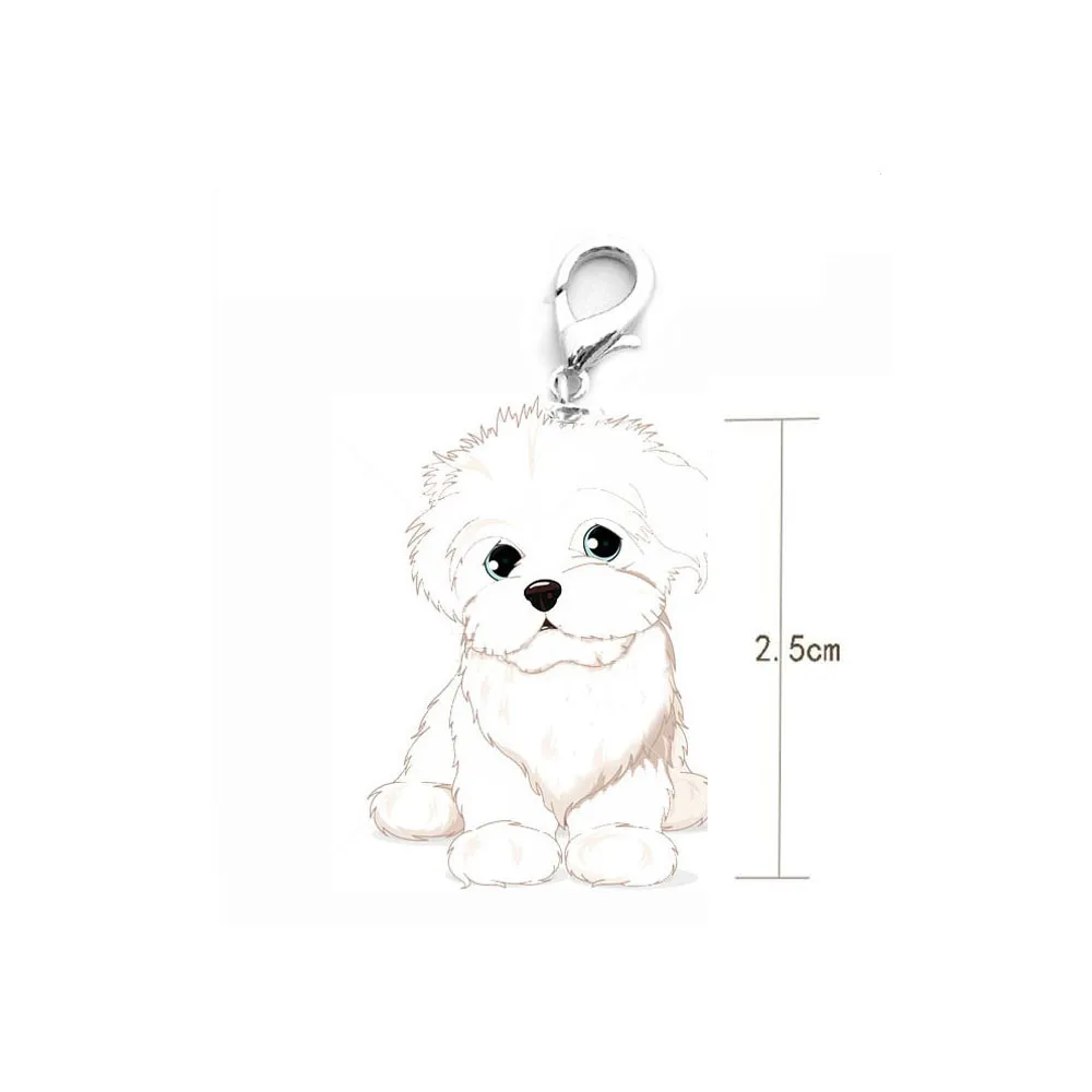 NewDog Tag Disc Disk Pet ID Enamel Accessories Collar Necklace Pendant Levert Dropship dig6722 | Дом и сад