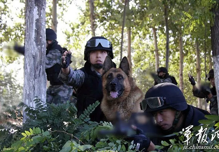 Страйкбол Пейнтбол Тактические Солнцезащитные очки армейские военные очки CS игры стрельба очки черный загар зеленый 3 линзы тактические очки