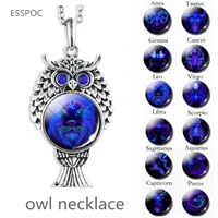 necklace chain vintage owl pendant necklace 12 constellation cancer lion virgo libra scorpio sagittarius capricorn leo