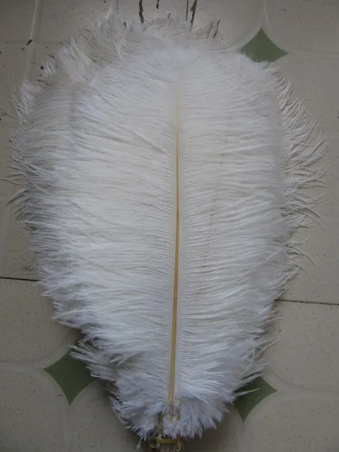 

Wholesale Hard rod 10pcs/lot white natural Ostrich Feathers 30-35cm /12-14" Wedding Christmas Decorations Cosplay DIY