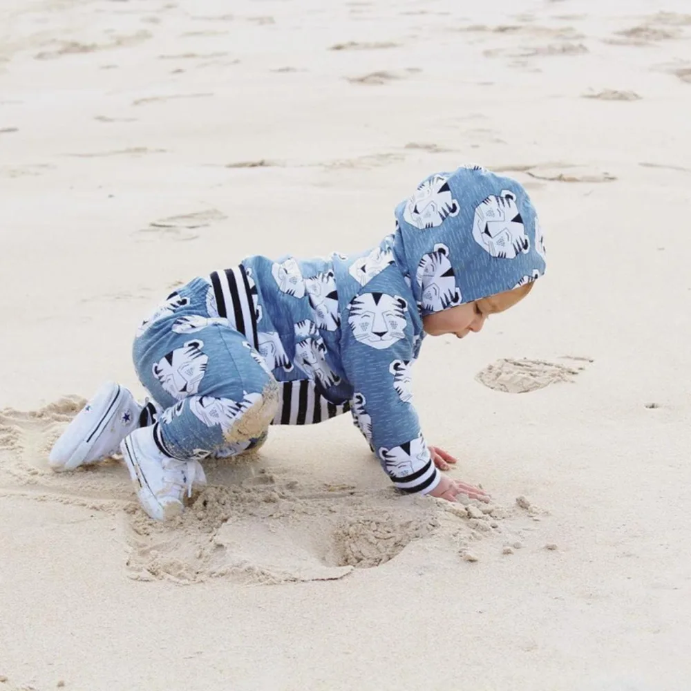 

OpenBeauty 2 pcs/set Toddler Infant Kid Baby Boys Clothing Hooded Tops+Pants Outfits Children Set 3-24 Months High Quality