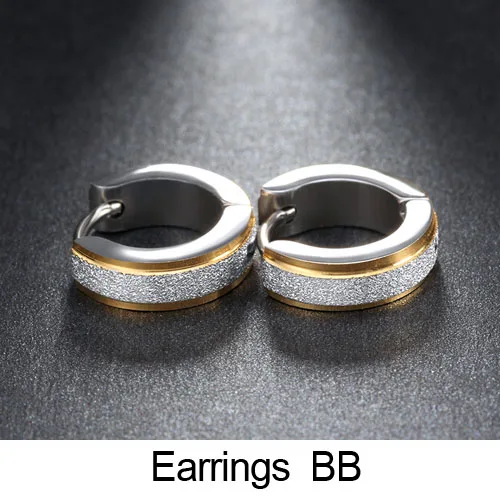 Earrings-BB Нержавеющая сталь кубического циркония серьги минималистский изделия bisuteria Модные серьги для Для женщин Для мужчин Brincos ювелирные изделия - Окраска металла: Earrings-BB