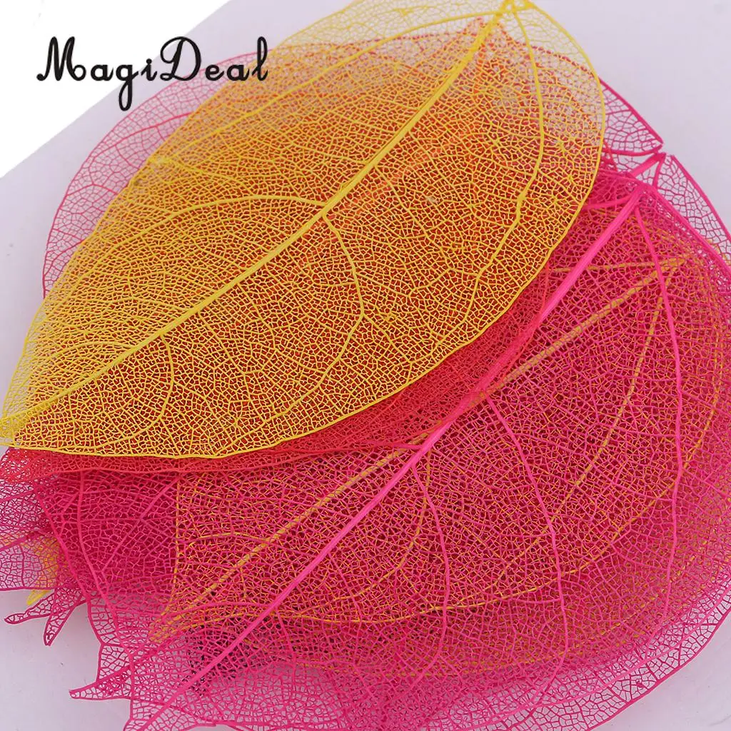 20 шт. прессованный высушенный листьев липы Бодхи листовой каркас для