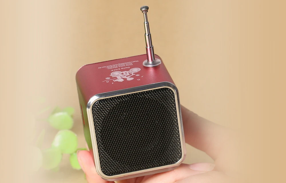 TD-V26 Портативный Динамик s с FM радио цифровое радио мини Динамик Портативный радио FM приемник Перезаряжаемые Батарея Поддержка SD/TF