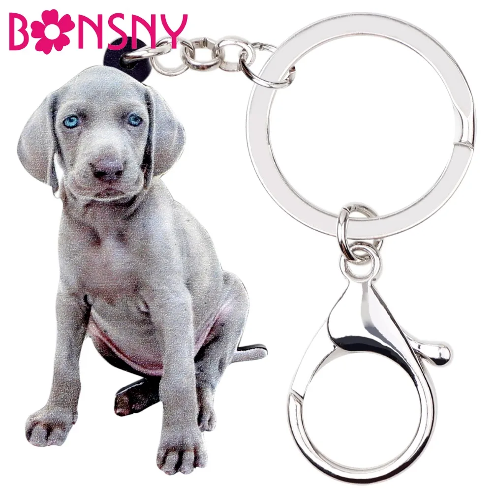 

Bonsny Acrylic Sitting Weimaraner Dog Key Chain Keychain Ring Animal Jewelry For Women Girls Pet Lovers Bag Car Charms Wholesale