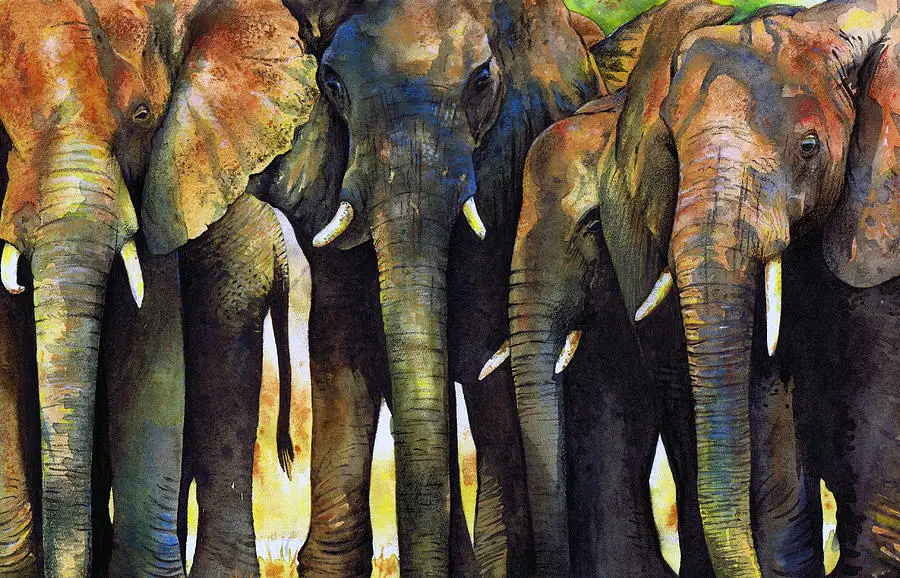 Koop Muur Schilderijen Afrikaanse Olifant Herd Hand Geschilderd Canvas Abstract Kunstwerk Dier Foto Voor Home Decor