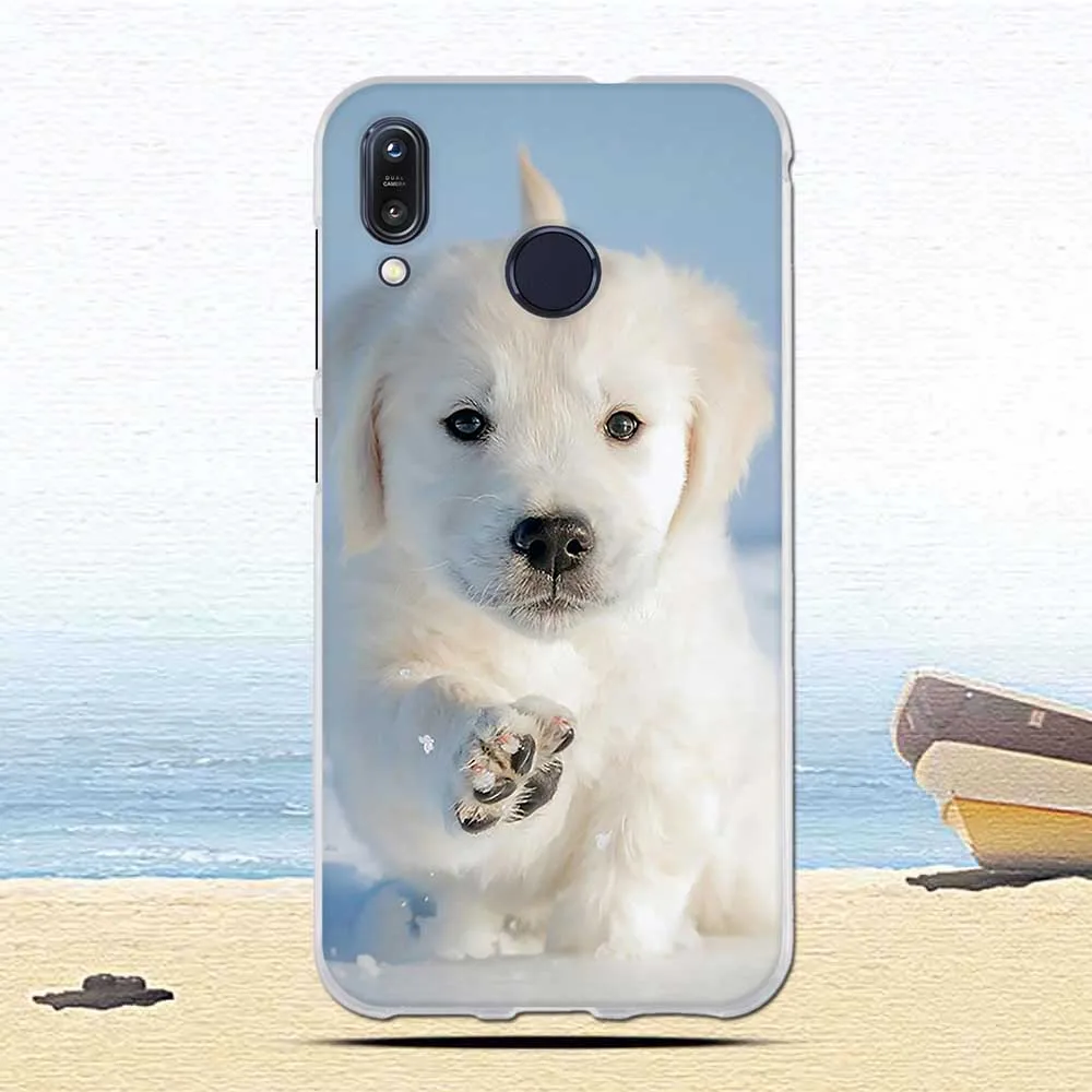 

Phone Case For Zenfone Max M1 ZB555KL Cartoon Rabbit Phone Capa For Asus Zenfone Max M1 ZB555KL Phantasy Phone Bags
