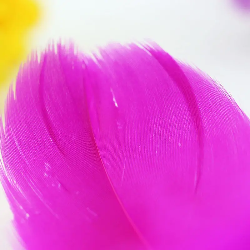 Новинка! Оптовая продажа Клыков Цвет 100 шт. качество натуральный гусиных перьев 5 7