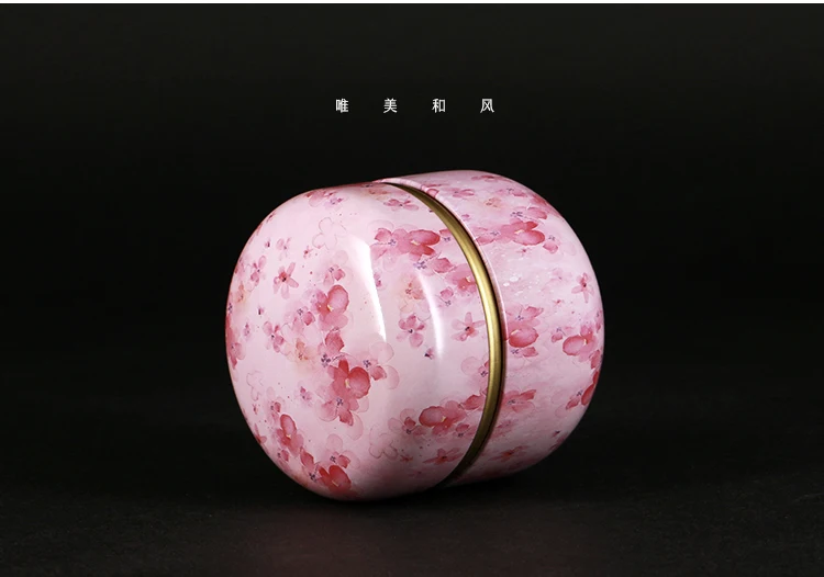 5pcs Japanese style Kitchen Tea Box Jar Storage Holder Sweetmeats Candies Cans Teaware Tea Caddies tin containers storage box