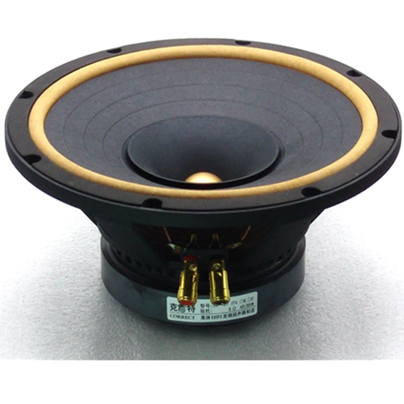 Hf 047 Hi Fi Динамик s 10 дюймов полный спектр симметричный магнитной цепи Кожа Краями