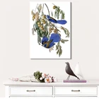 Картина на холсте с изображением птиц постеры с Америкой и принтов Джона Джей из Флориды Декоративные картины Audubon для гостиной