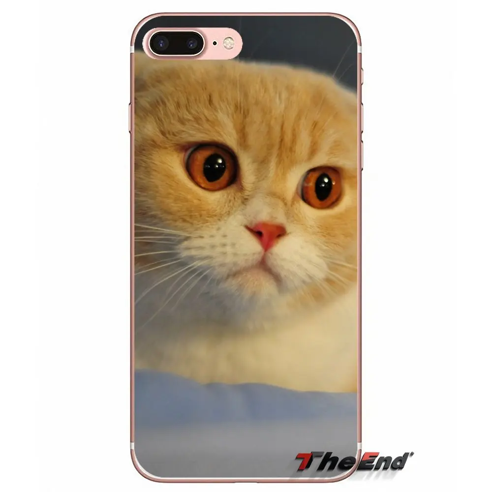 Кошачья одежда очки Забавный силикагель ТПУ чехол для samsung Galaxy S2 S3 S4 S5 MINI S6 S7 edge S8