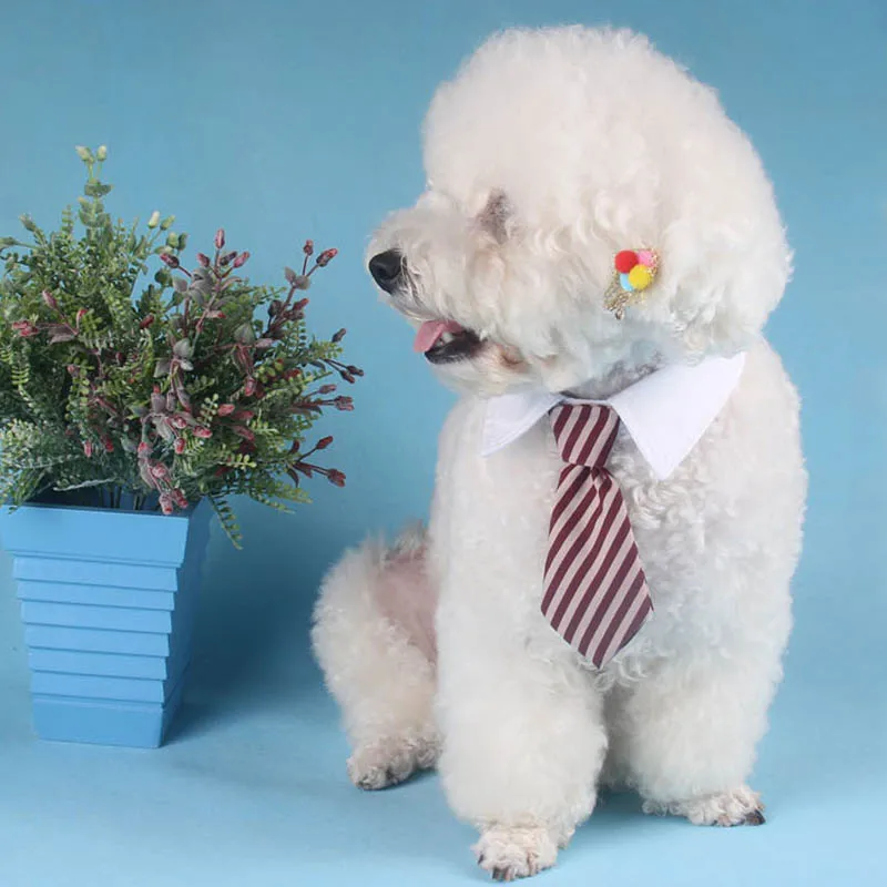 100% хлопок украшение для домашних животных галстук ошейник собак кошек