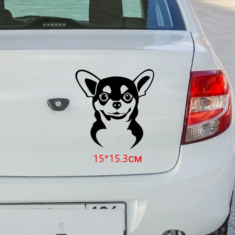 Tri Mishki LBH119 15*15.3cm DOG Chihuahua car sticker Vinyl Decals Motorcycle Accessories reflective | Автомобили и мотоциклы