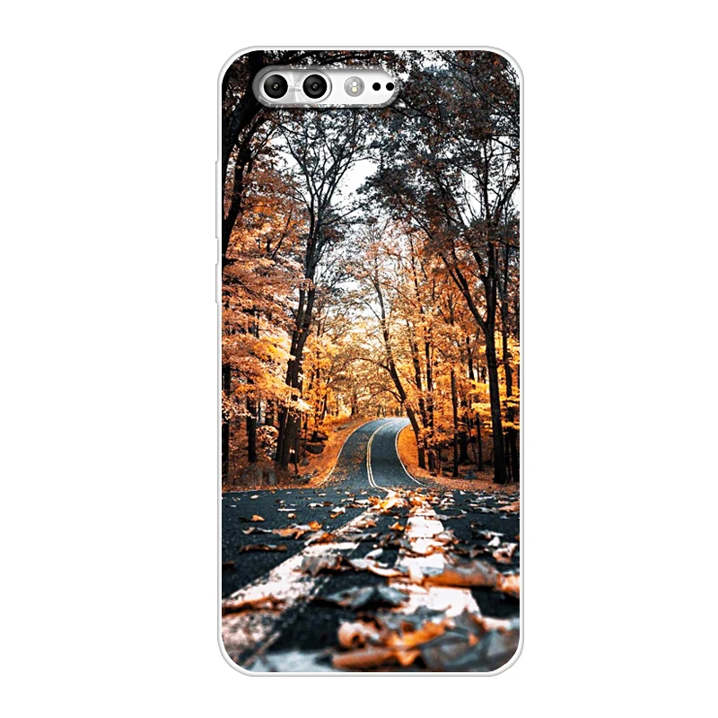 Case For Asus Zenfone 5 ZE620KL Transparent Printing Drawing Silicone Phone Cover 4 Pro ZS551KL |