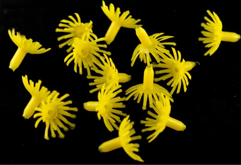 200 шт. искусственные тычинки сливы для изготовления нейлоновых цветов|flower