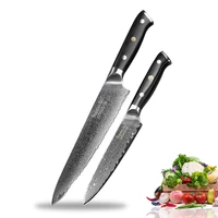 sunnecko 2pcs kitchen knife set 8 chef 5 utility knife japanese vg10 damascus steel g10 handle razor sharp cooking cutter