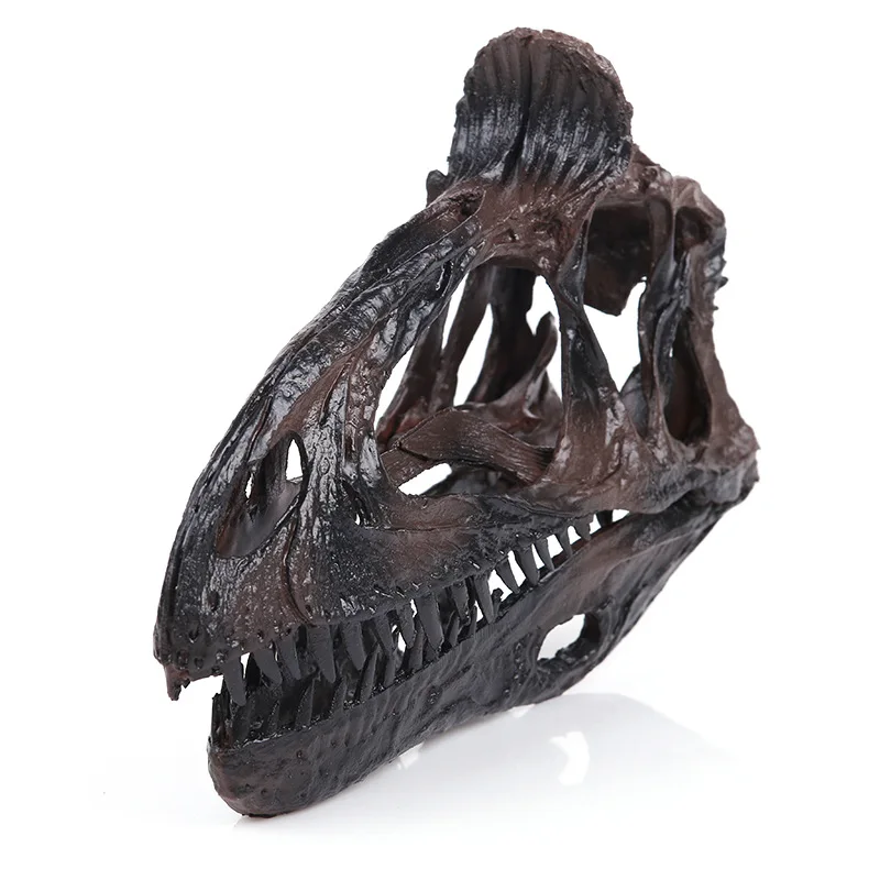 

Moquerry Scale Dinosaur Tyrannosaurus Cryolophosaurus Resin Fossil skull Model Collectibles for Home Decoration Gift Accessory