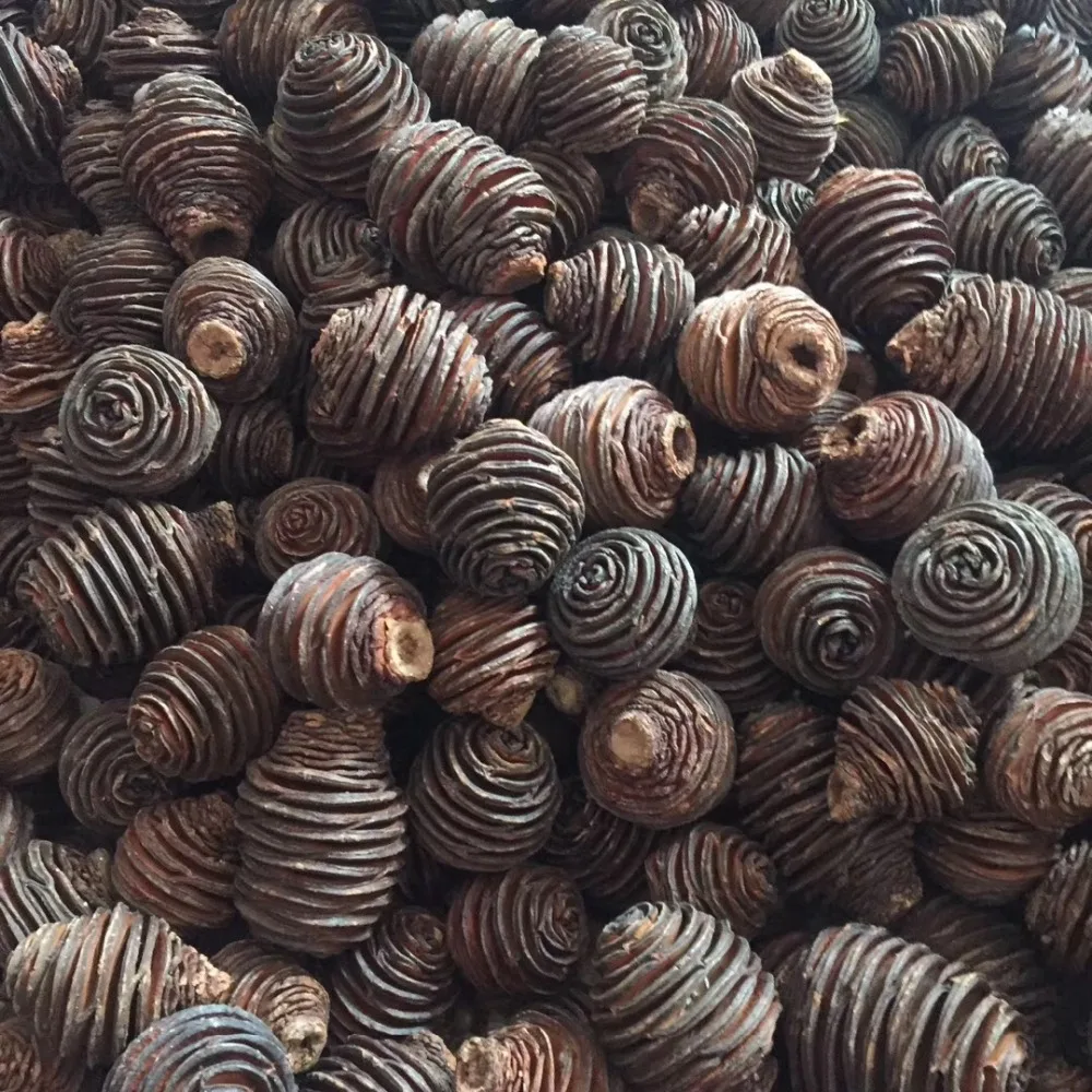 

20pcs Natural Dried Screw Pinecone Fruit For Wedding Party Home Hotel Decoration DIY Bouquet Project Accessory