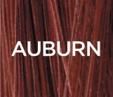 2pcs-auburn Sevich 25 г гель для наращивания волос порошок волокна+ спрей для волос 100 мл корректор для роста выпадения волос лечение Кератин - Цвет: 2pcs-auburn