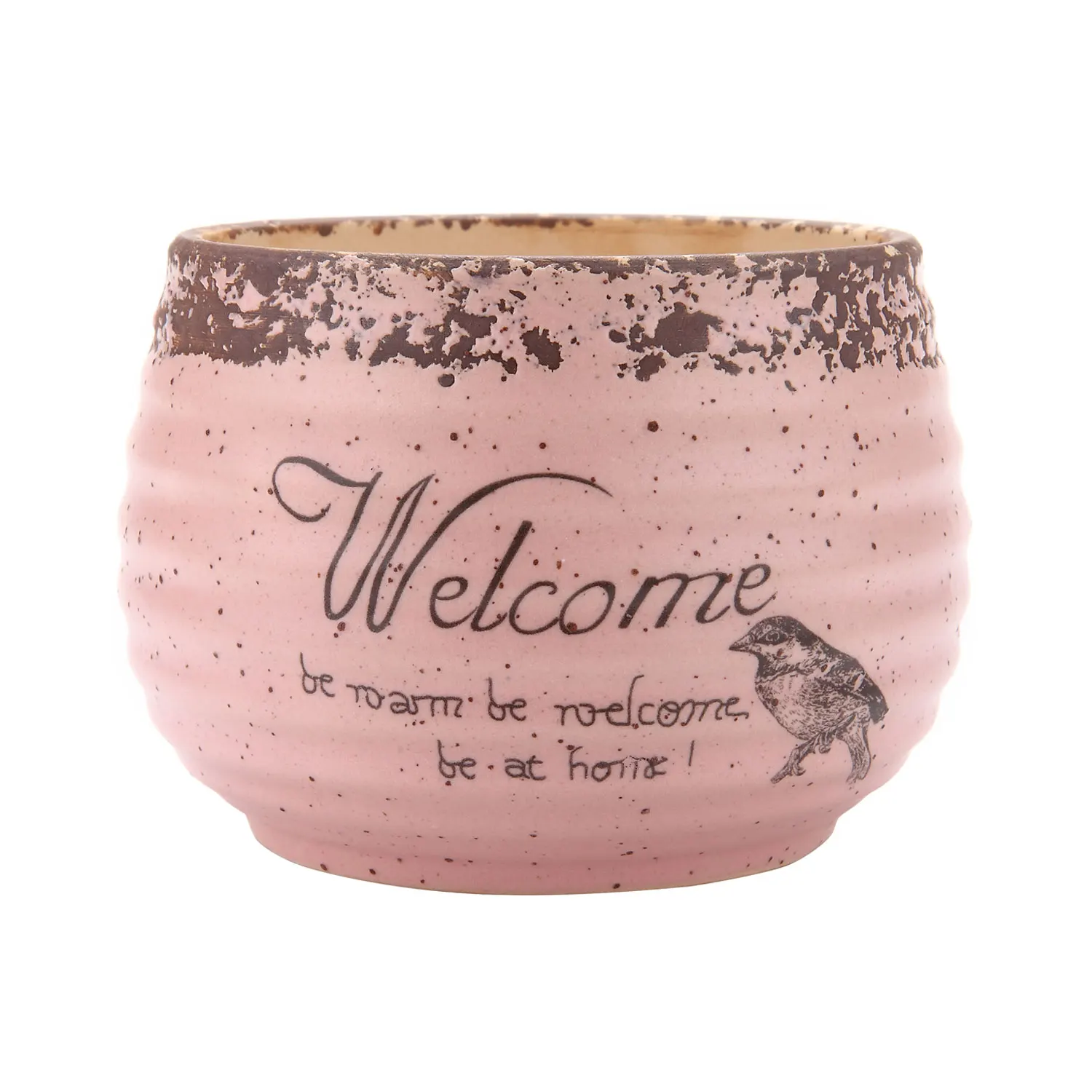 T4U деревенский стиль круглый сочный кактус растение горшки в стиле бонсай