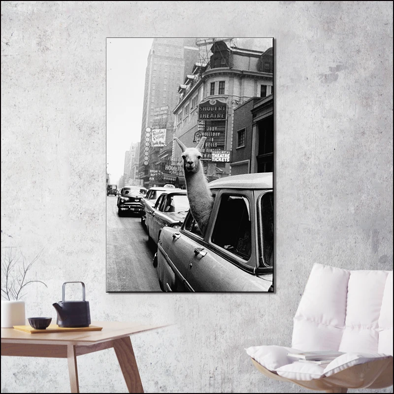 Животное Альпака художественный принт и постер фотография холст картина