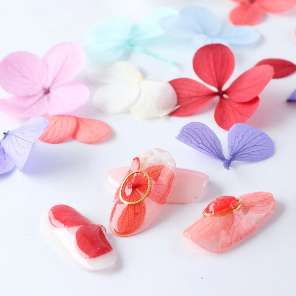 Сухой цветок дизайн ногтей смешанные цвета украшения для Цветочная Текстура