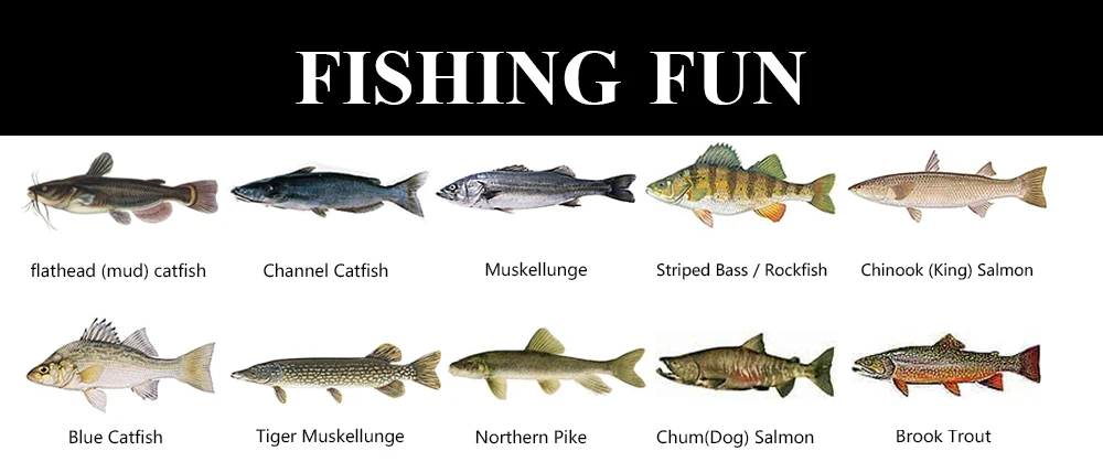 FISH KING ледяная Удочка с катушкой для подледной рыбалки/спиннинговое удилище комбинированное для зимней снасти для подледной рыбалки