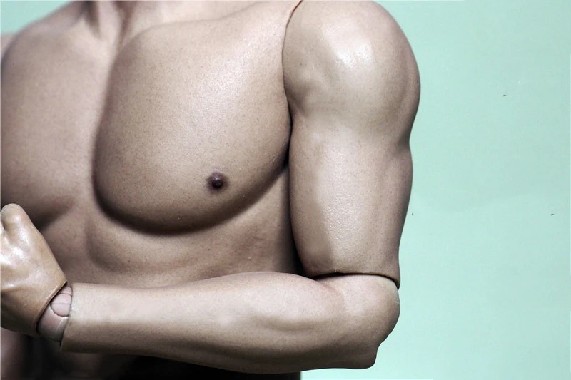 

1/6 Scale 12''Mascular Male Bodies Big Body for 1/6 Head