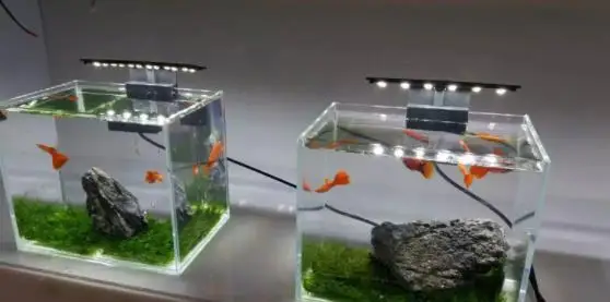 구매 100 대/몫 도매 고품질 울트라 얇은 Led 수족관 램프 물고기 탱크 수족관 라이트 X3 Eu/us 플러그 고휘도 조명